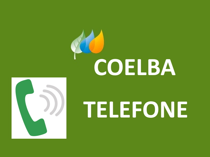 Coelba Telefone